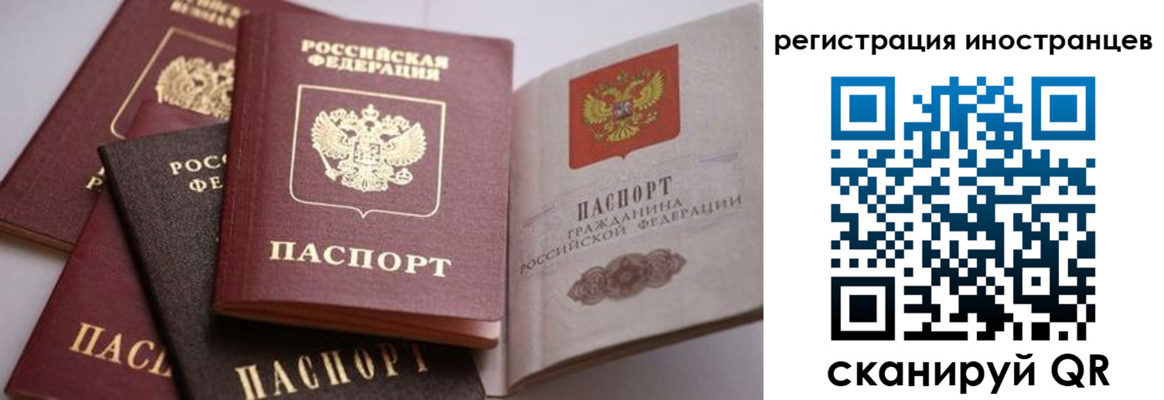 прописка штамп в Сельцо